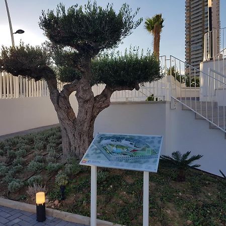 Romero Apartments-Sunset Waves-Benidorm Eksteriør billede