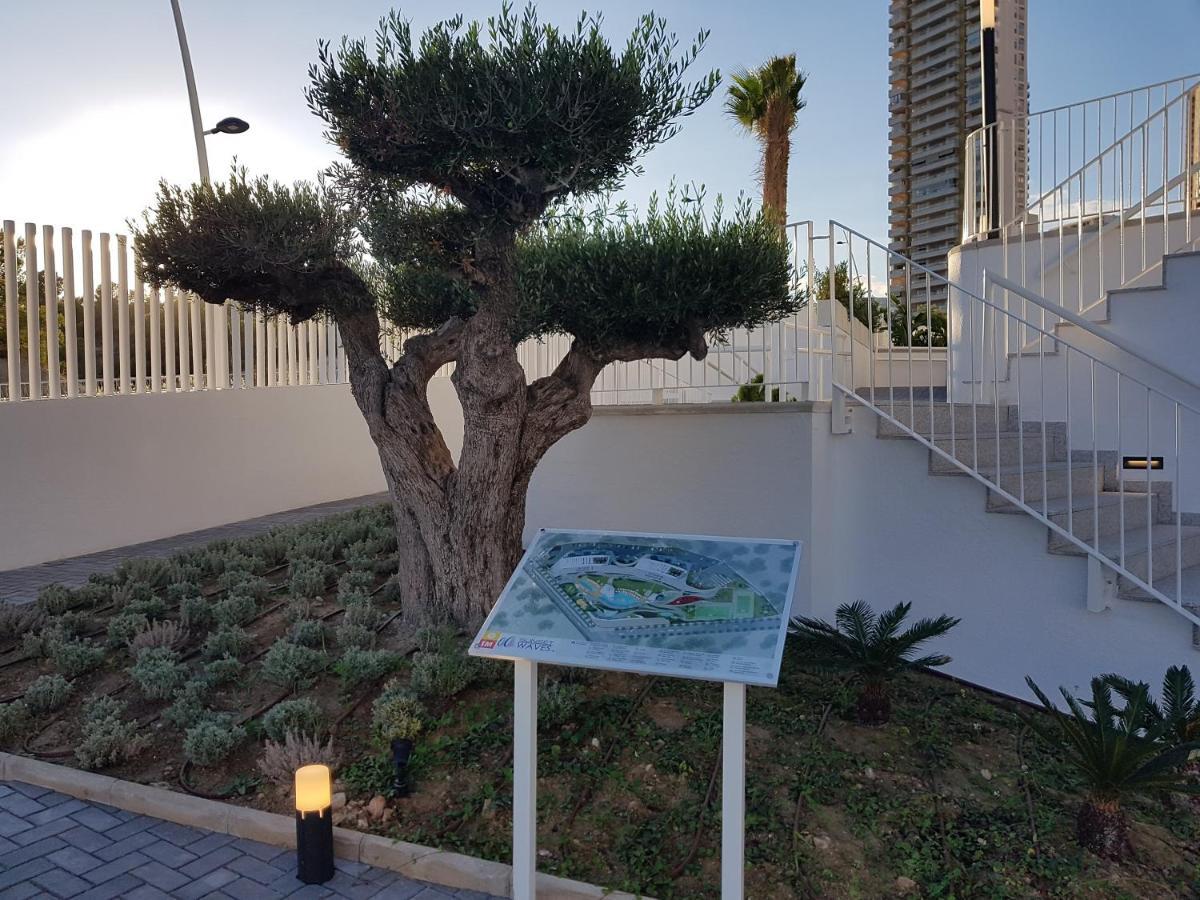 Romero Apartments-Sunset Waves-Benidorm Eksteriør billede